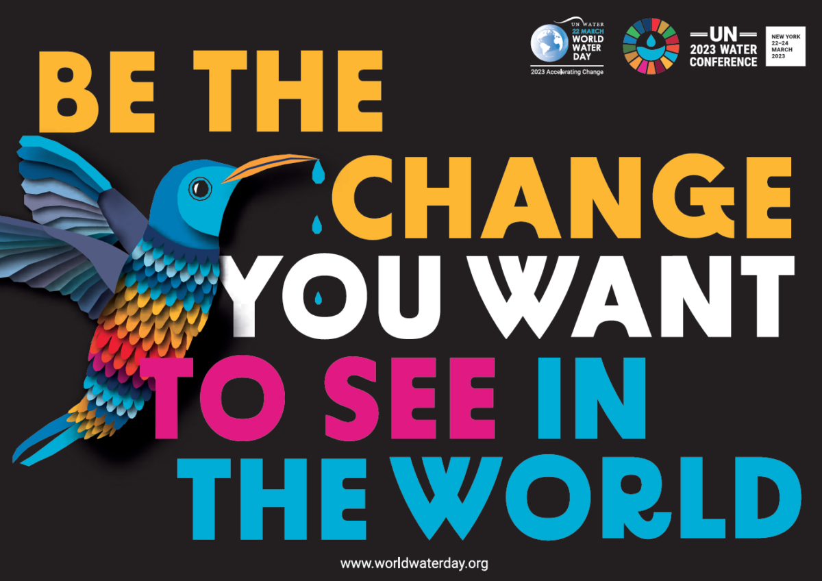 Conferenza ONU sull'acqua 2023 – Giornata mondiale dell'acqua