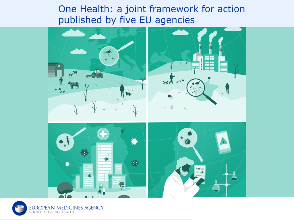 One Health: un quadro comune per l'azione pubblicato da cinque agenzie dell'UE