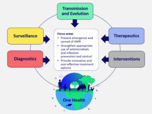 One Health AMR