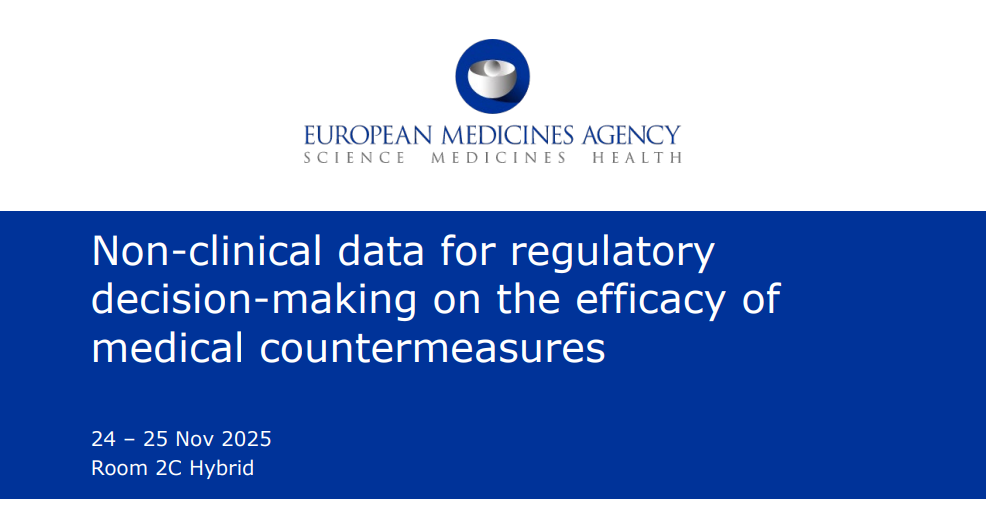 workshop EMA MCM 2025