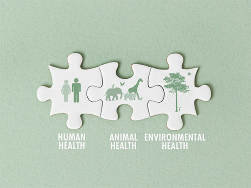 ERC Annual Conference