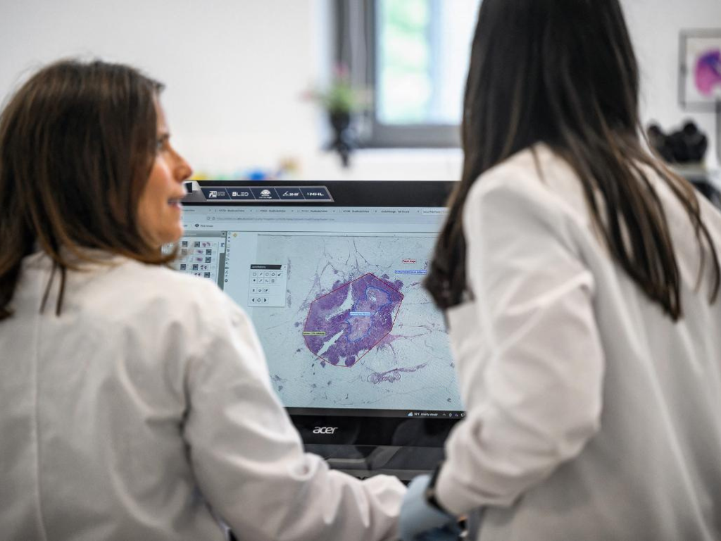 Lotta contro il cancro: il Parlamento chiede un programma sanitario UE dedicato 2026