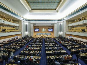La 79ª Assemblea Mondiale della Sanità: la salute globale a un punto di svolta