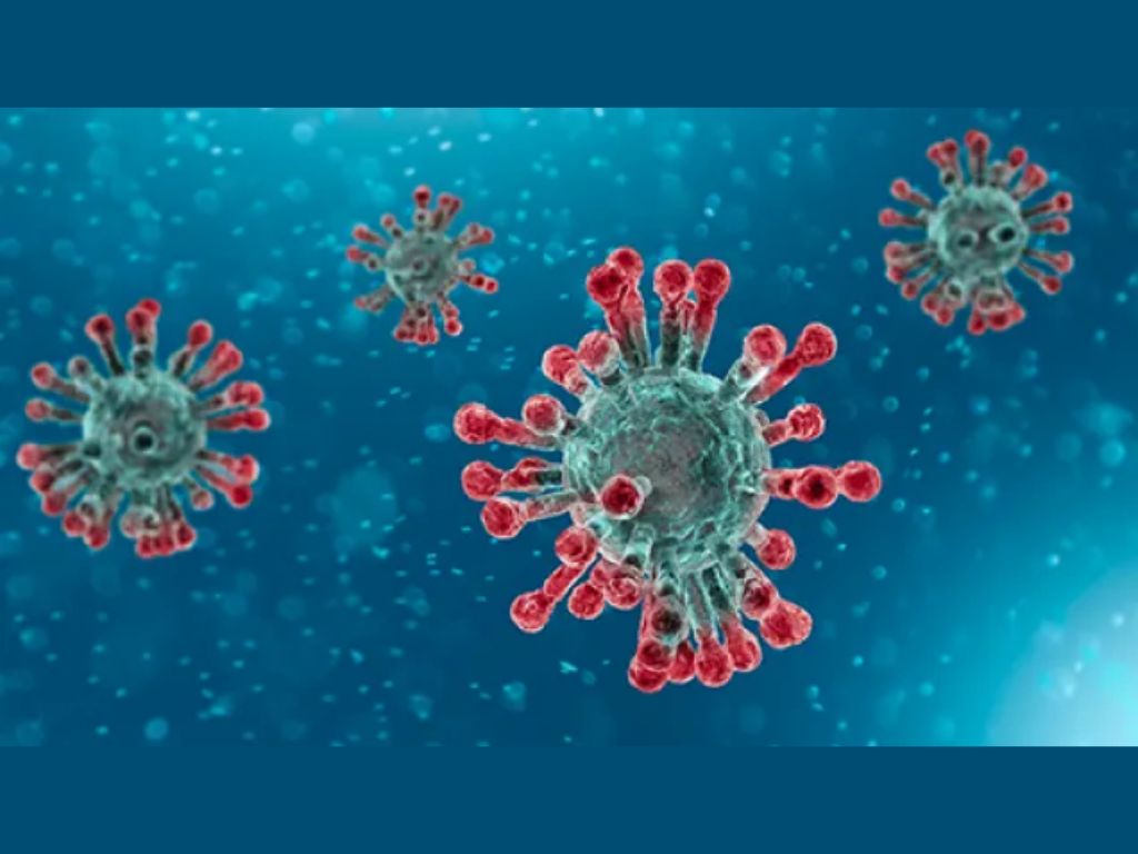 Sorveglianza integrata dei virus respiratori nuova guida ECDC per UESEE
